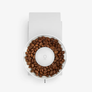 Molino eléctrico FELLOW Opus Espresso - Con graduaciones para moler café
