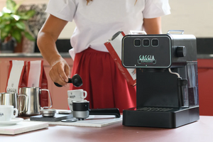 Gaggia Espresso Evolution